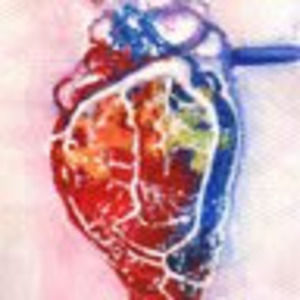 Meet your Posher, Shuang